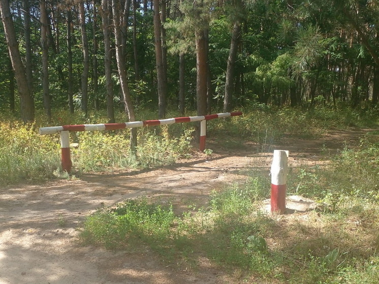 В Курской области продолжается противопожарное обустройство лесов