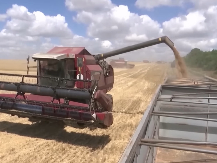 Посол РФ Антонов: США превратили зерновую сделку в проект по обогащению западных агрохолдингов