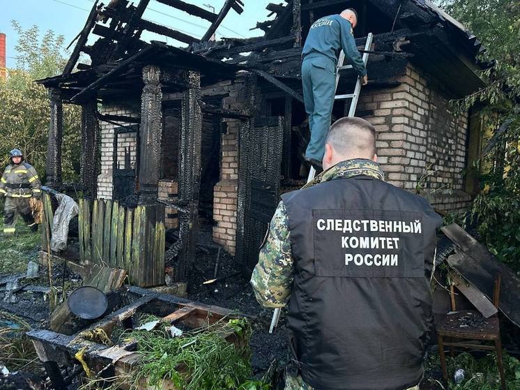 По факту гибели двух человек на пожаре в Старой Руссе полиция проводит проверку