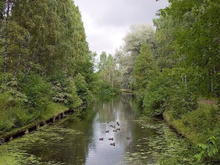 В Первом Путяевском пруду московского парка Сокольники обнаружено тело 14-летнего подростка