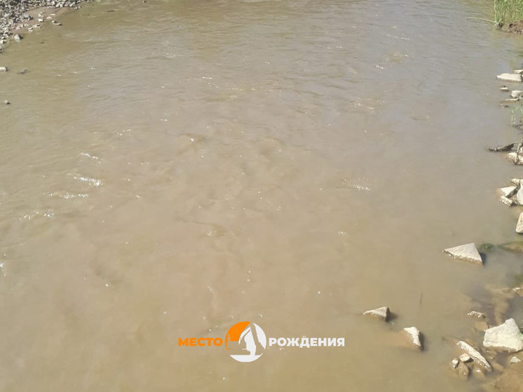 Общественник из Газ-Заводского района рассказал о проблеме загрязнения рек