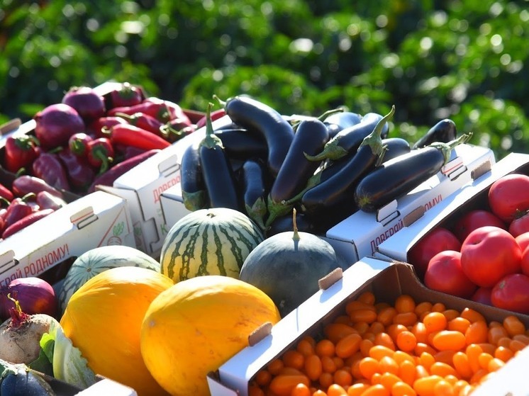Роспотребнадзор рассказал о пользе фруктов и овощей в детском питании