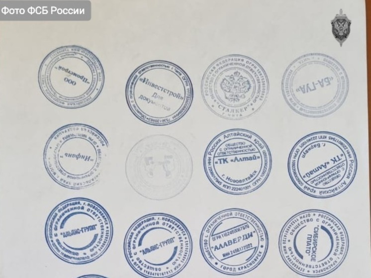 Забайкалка и подельник незаконно перевезли в России 400 эмигрантов