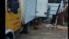 Нелегальные мусорщики: «Петрович» пойман с поличным