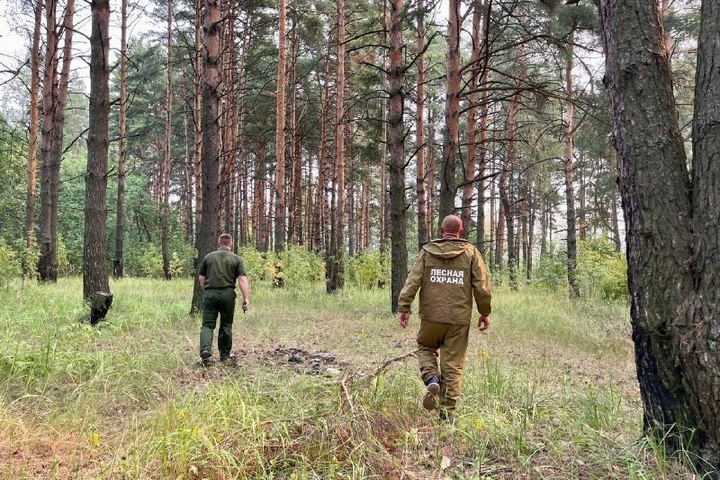 Хорошие новости: лесной пожар в Красносельском районе ликвидирован