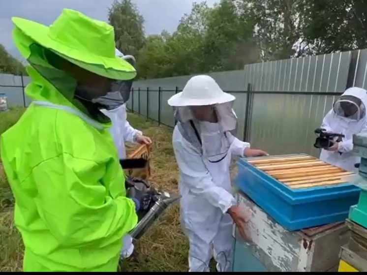 Глава Карелии пообещал провести ярмарку меда