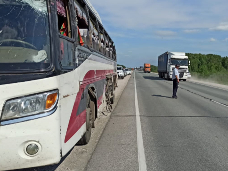 В Новосибирской области возбудили уголовное дело после смертельного ДТП с автобусом и фурой