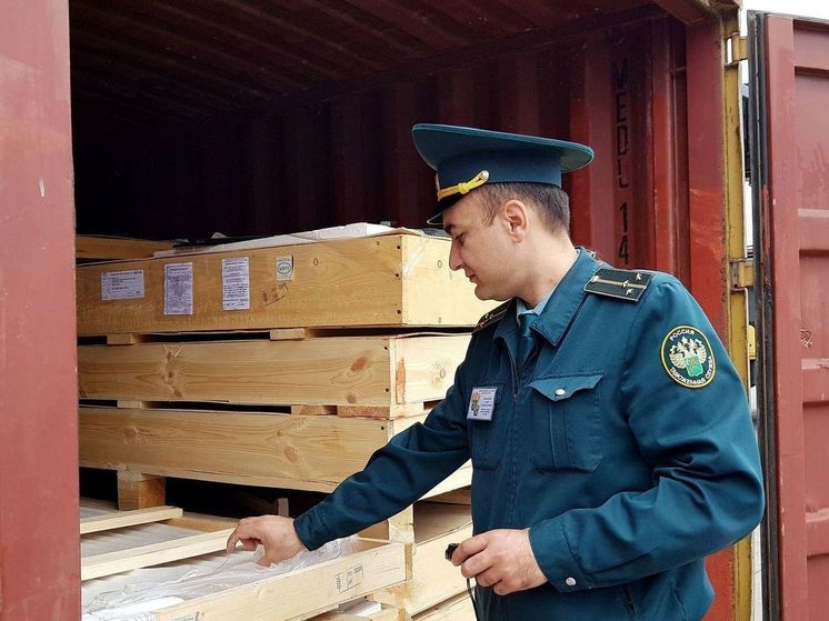 Эксперт рассказала о цифровизации таможни в Красноярском крае