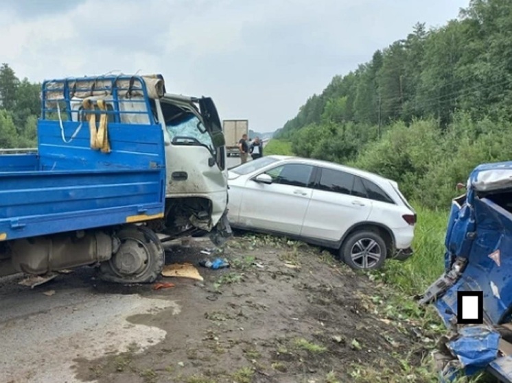 Один человек погиб и двое получили травмы после наезда грузовика на пешеходов около Екатеринбурга