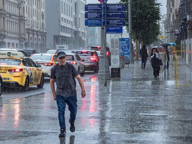 Москву заливает: эксперт рассказал, как правильно просушивать автомобили после дождя0