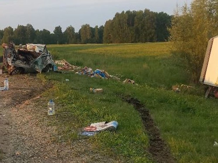 Под Новосибирском в смертельном ДТП погиб 19-летний парень