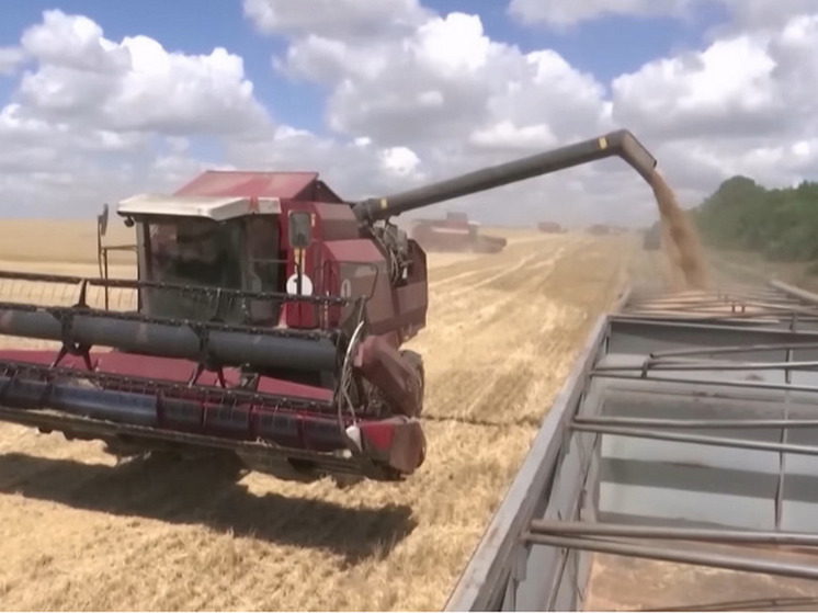Киев предложил новый маршрут поставок после выхода России из зерновой сделки