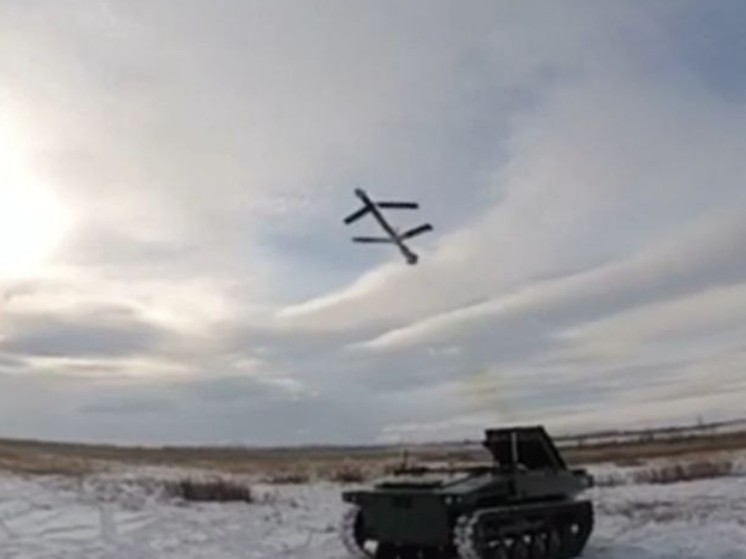 Рогов: в Севастополе сработала система ПВО