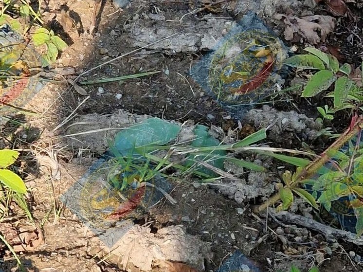 Похожий на мину предмет нашли на стройке в пригороде Южно-Сахалинска
