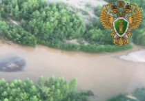 Природоохранная прокуратура выехала с проверкой в Могочинский район из-за информации о загрязнении реки Черный Урюм