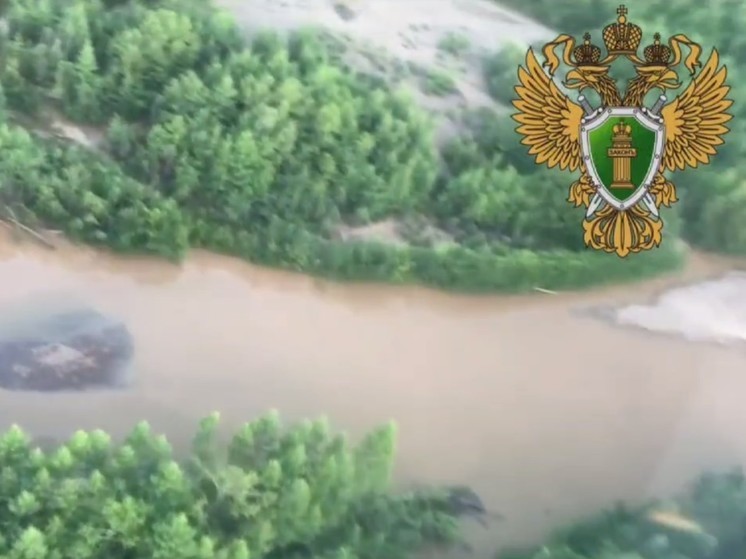 Прокуратура проверит загрязненную реку в Забайкалье возле места добычи золота
