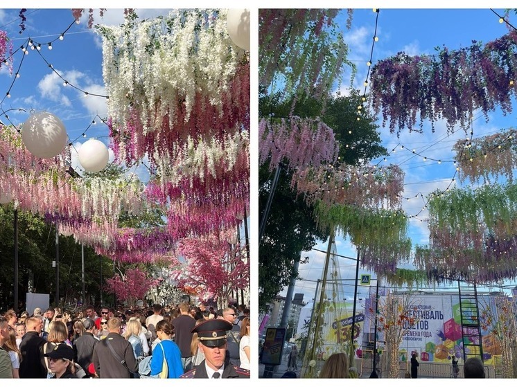 В Новосибирске 22 июля завершится Фестиваль цветов на улице Ленина