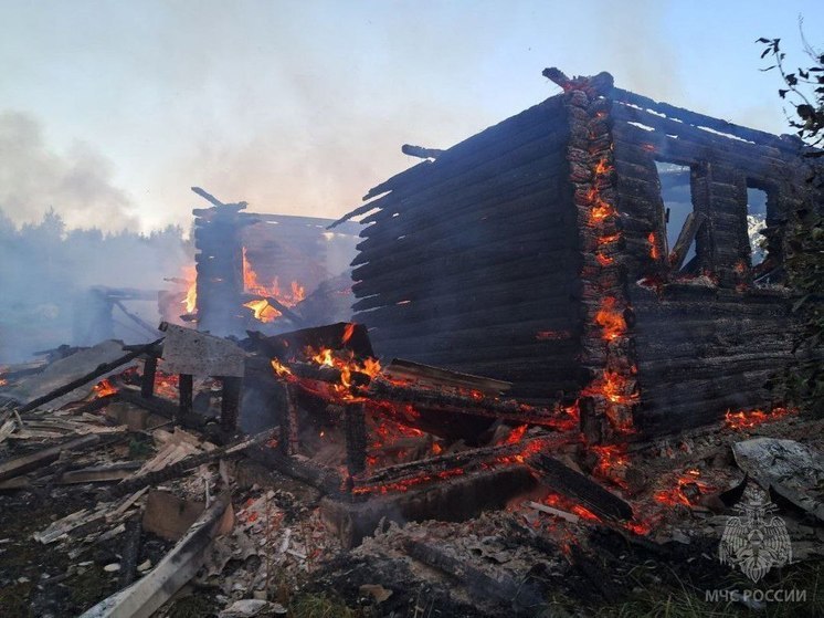 В селе Оскуй во время пожара погиб человек