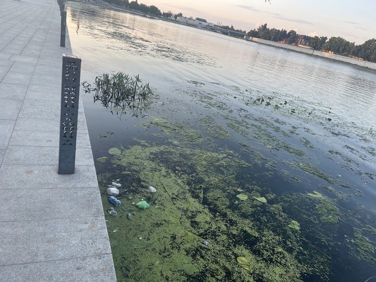 Мусор и зеленая вода: что видят пензенцы, гуляя по набережной города