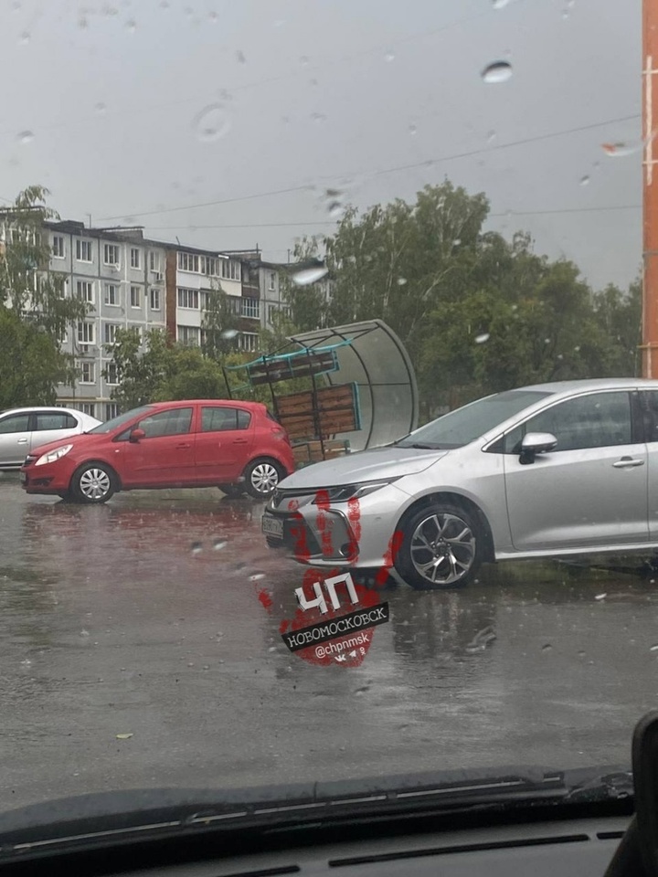 Светлана корт новомосковск фото