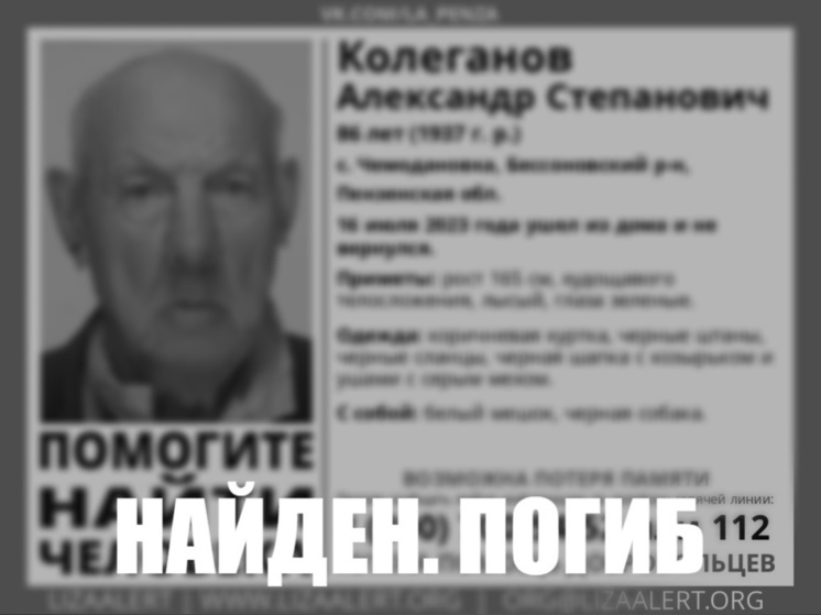 В Пензенской области пропавшего пенсионера нашли мертвым