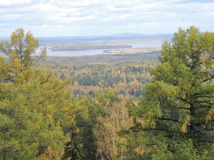 Синоптики пообещали теплую погоду в Свердловской области