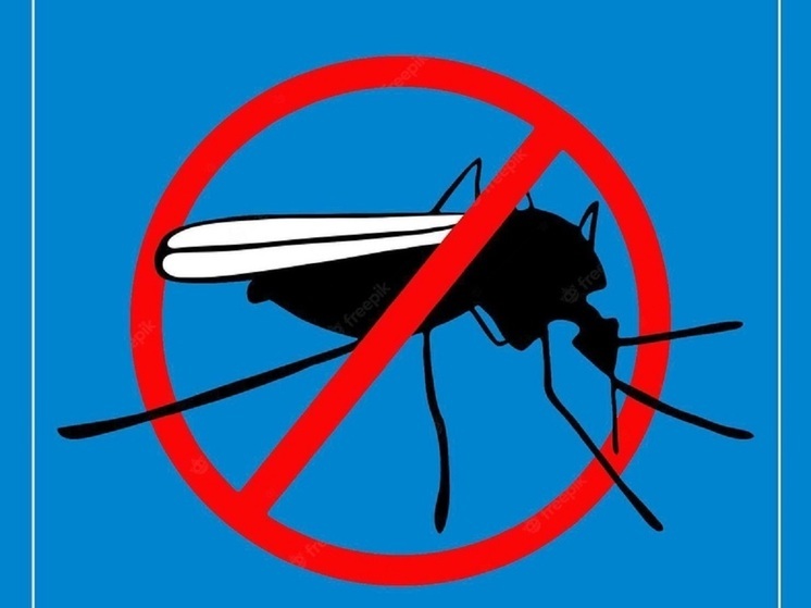 В Муравленко ночью шумно будут травить комаров