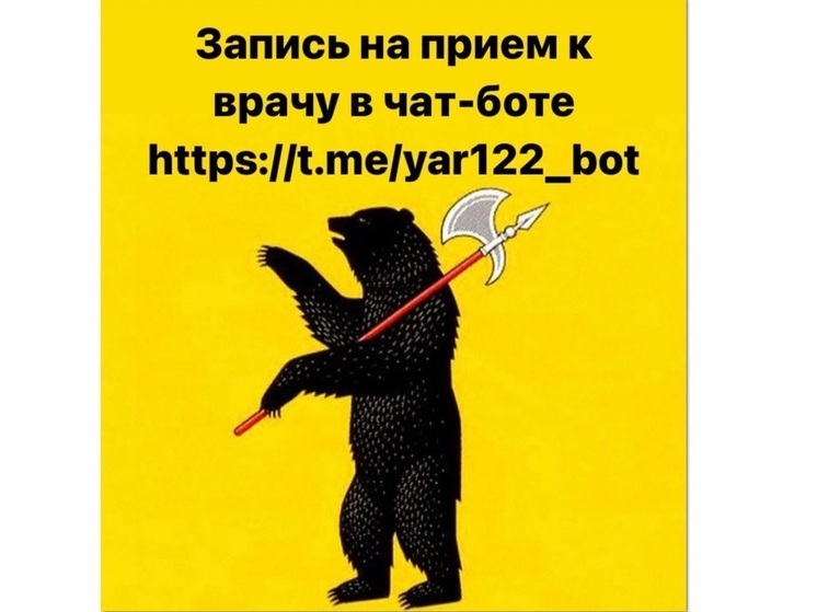 В Ярославской области записаться на прием к врачу теперь поможет Телеграм-бот