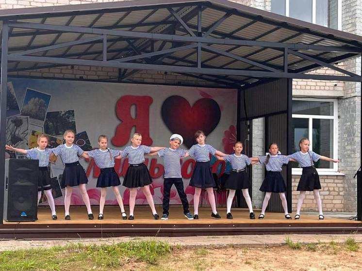 Уличные сцены появляются в округах Вологодской области по «Народному бюджету»