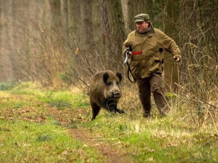 Как себя правильно вести при такой "встрече"