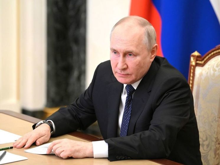 Путин поддержал запуск электронных виз в РФ с 1 августа