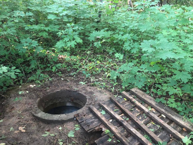 The body of an 11-year-old child with stab wounds