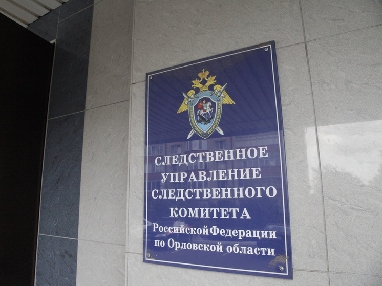 В Орловской области возбудили уголовные дела в отношении трёх полицейских