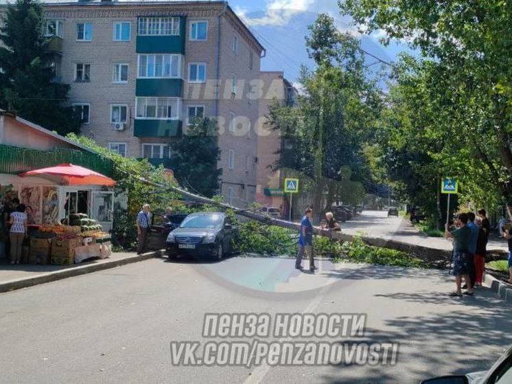 В Пензе на ларёк упало аварийное дерево