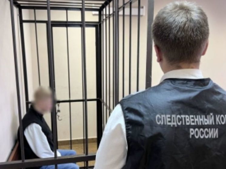 На 480 тысяч рублей обманули двое кемеровчан брянских пенсионерок