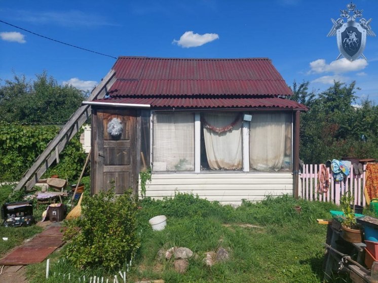 Жительница Стрельни случайно убила ножом пьяного сожителя