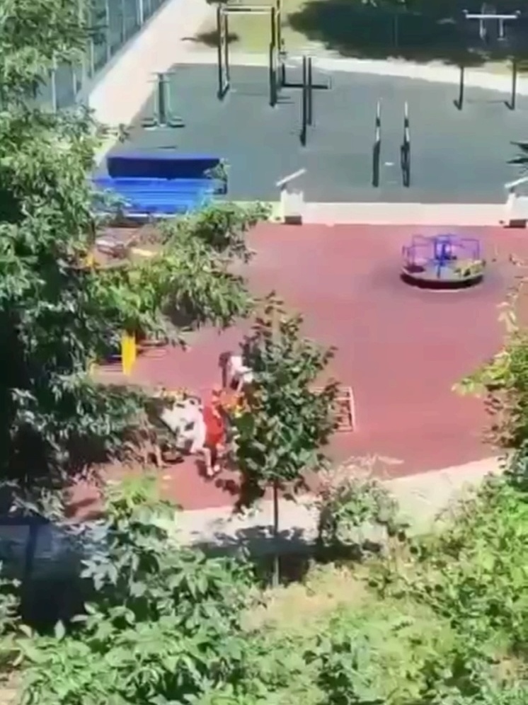 Малолетние вандалы целенаправленно ломают детскую площадку в Курганинском районе Кубани