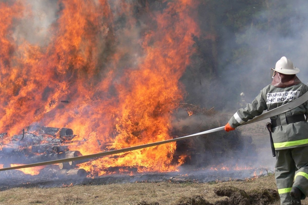 Пожарные ликвидировали возгорание около свалки в Ломоносовском районе