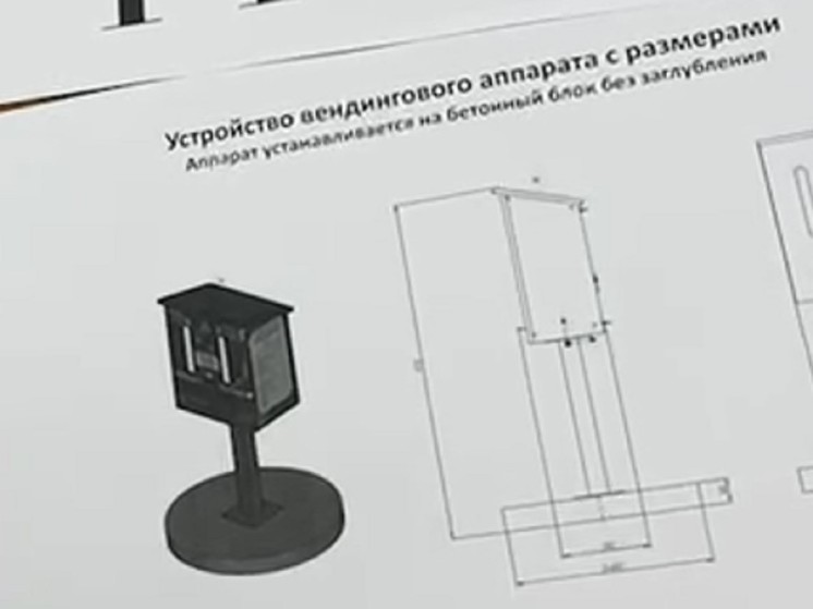 Мэрия Ярославля решила подкармливать диких уток