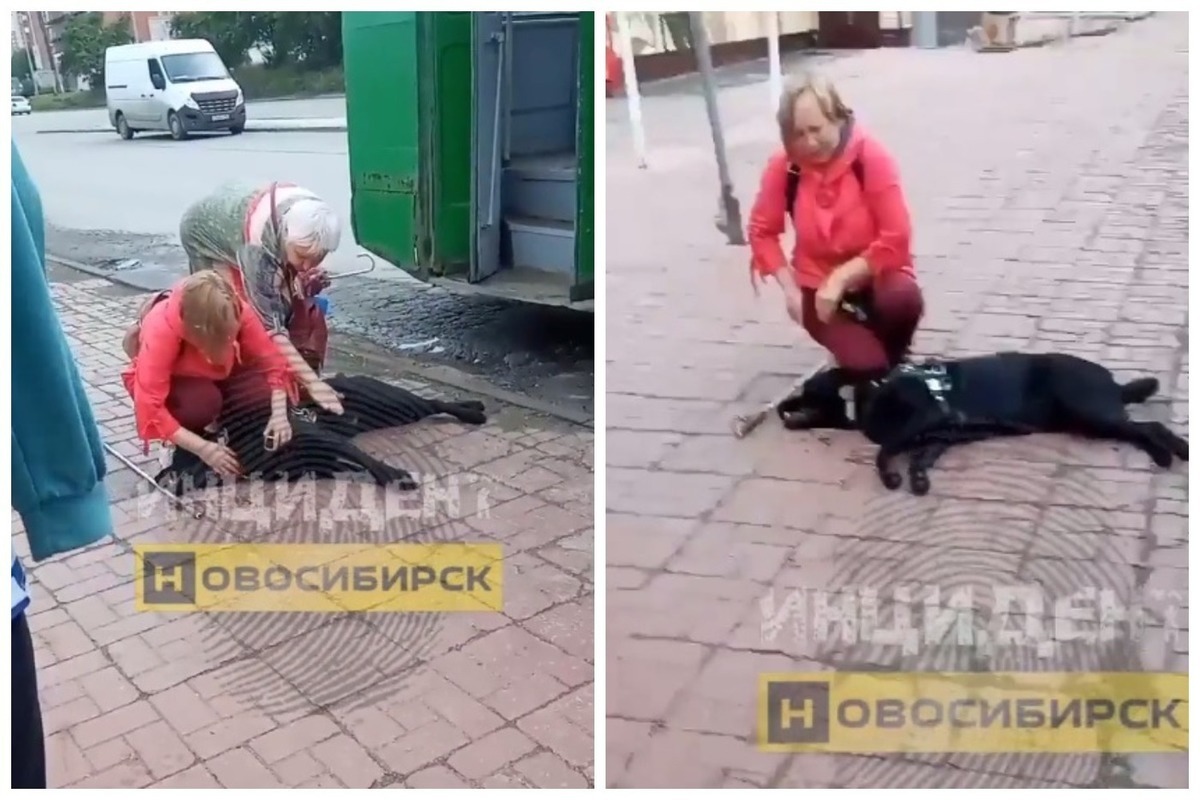 В Новосибирске хозяйке убитой током собаки-поводыря выплатят компенсацию