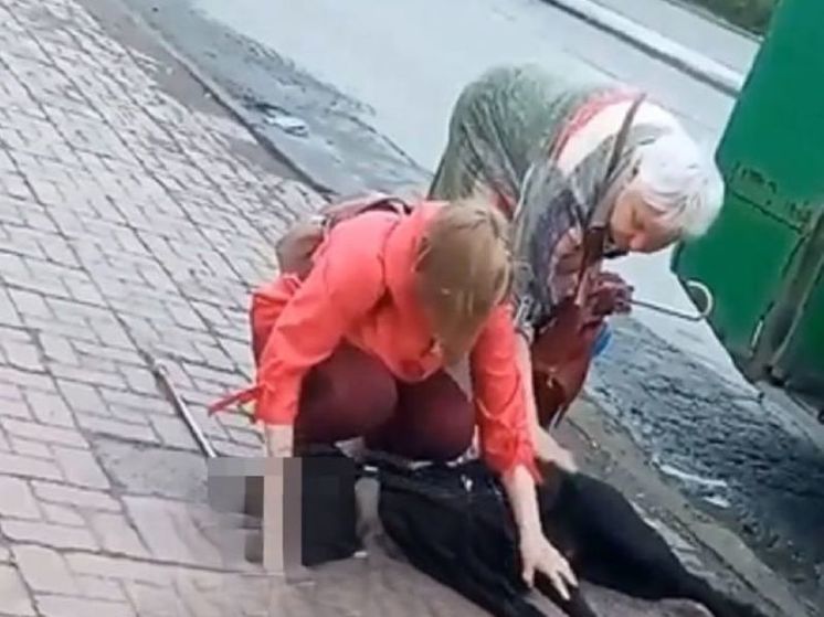 В Новосибирске собаку-поводыря слепой женщины убило током на ступеньках троллейбуса