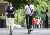 Оставить для них место лишь в парках
