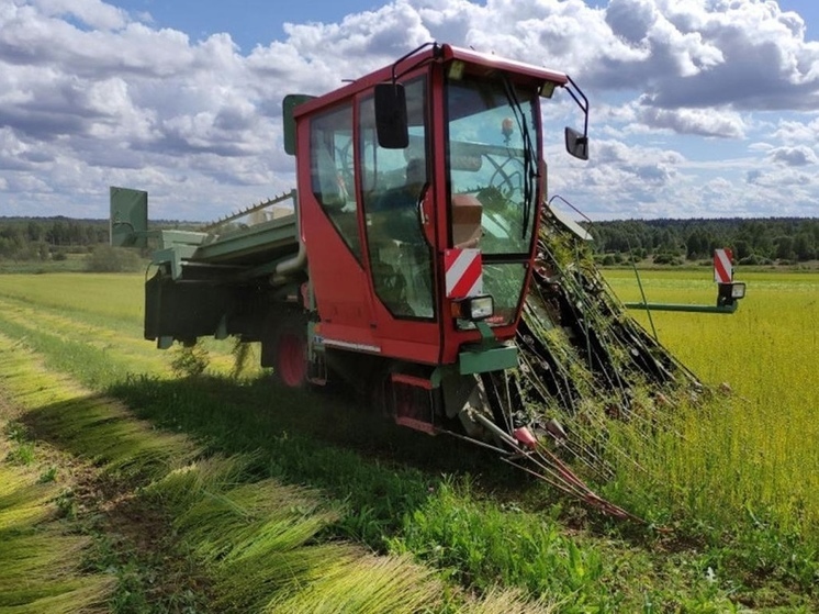 В Дорогобужском районе началась уборка льна