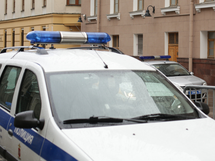 В Пушкинском районе петербуржец насмерть сбил оформлявшего ДТП полицейского