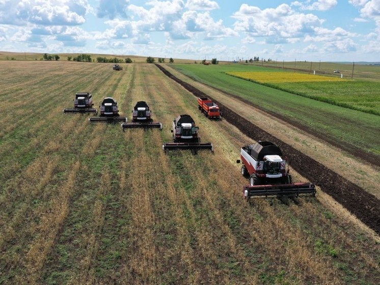 Радий Хабиров об урожае зерна: «Надеемся на погоду»