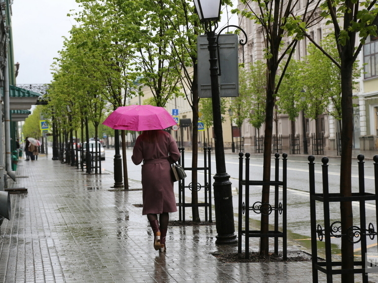 Will be rain. Дождливая погода. Холодное лето Петербург. Дождевой дождливый. Сильный дождь.