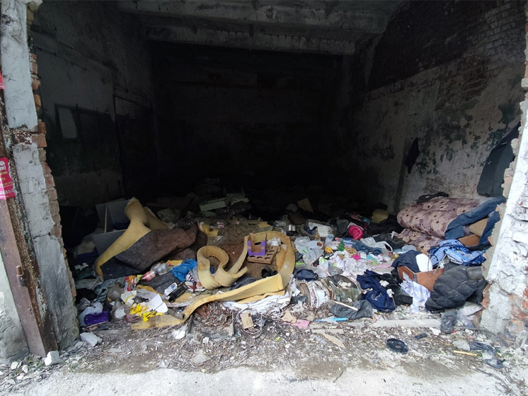 Свыше 2 500 тонн мусора вывезут с томской несанкционированной свалки у Михайловской рощи