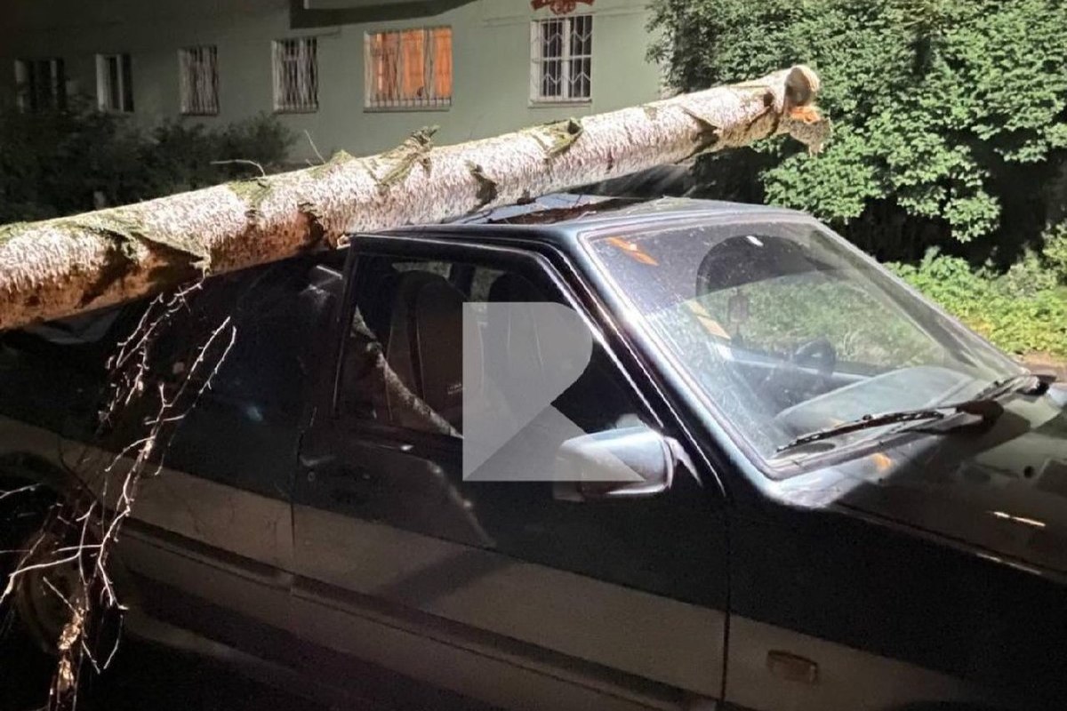 На улице Халтурина в Рязани дерево упало на машину
