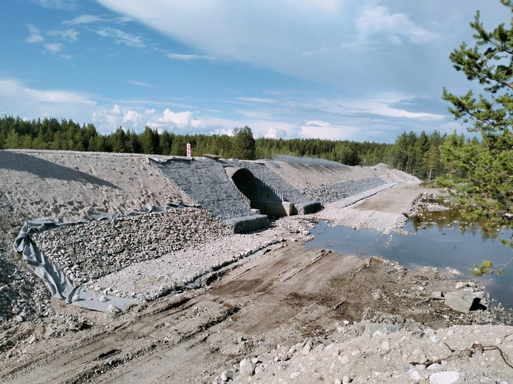 Минтранс делится результатами работы по нацпроекту «Безопасные качественные дороги»