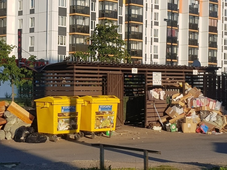 Жители Петрозаводска просят убрать мусор, которым завалены все помойки